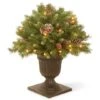 24" Pre-Lit Frosted Berry Artificial Christmas Porch Bush, Clear Lights