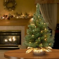 24" Pre-Lit Majestic Fir Tree In Gold Cloth Bag, Clear Lights 9 24" Pre-Lit Majestic Fir Tree In Gold Cloth Bag, Clear Lights -Northlight Decor Store D206330S 12