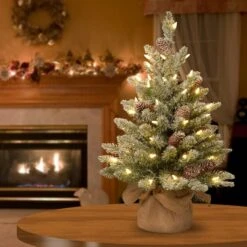 2ft. Snowy Concolor Fir Small Artificial Christmas Tree In Burlap With Snowy Cones, Warm White LED Lights 7 2ft. Snowy Concolor Fir Small Artificial Christmas Tree In Burlap With Snowy Cones, Warm White LED Lights -Northlight Decor Store D206344S 2