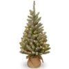 3ft. Snowy Concolor Fir With Snowy Pinecones Artificial Christmas Tree In Burlap Base, Warm White LED Lights