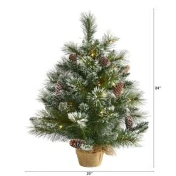 2ft. Pre-Lit Frosted Pine Artificial Christmas Tree With Pinecones, Clear LED Lights 10 2ft. Pre-Lit Frosted Pine Artificial Christmas Tree With Pinecones, Clear LED Lights -Northlight Decor Store D251265S 2