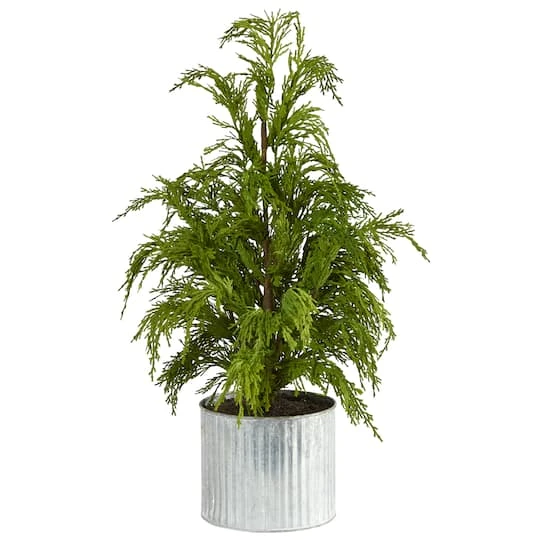 20" Unlit Cedar Pine Artificial Potted Christmas Tree 1 20" Unlit Cedar Pine Artificial Potted Christmas Tree