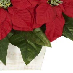 16.5" Potted Poinsettia In White Washed Planter 7 16.5" Potted Poinsettia In White Washed Planter -Northlight Decor Store D252168S 13