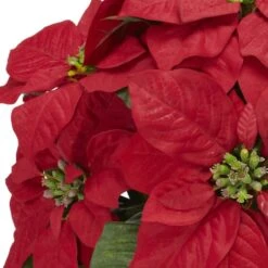 13" Potted Poinsettia With Ceramic Vase -Northlight Decor Store D252178S 12