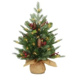 2ft. Pre-Lit Nordic SpruceĀ® Artificial Christmas Tree, Warm White LED Lights