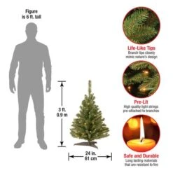 3ft. Pre-Lit Kincaid Spruce Artificial Christmas Tree, Clear Lights 10 3ft. Pre-Lit Kincaid Spruce Artificial Christmas Tree, Clear Lights -Northlight Decor Store D252527S 14