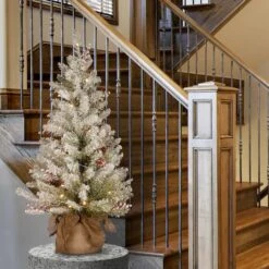 3ft. Pre-Lit Dunhill® Fir Artificial Christmas Tree, Warm White LED Lights 8 3ft. Pre-Lit Dunhill® Fir Artificial Christmas Tree, Warm White LED Lights -Northlight Decor Store D252580S 2