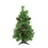 Northlight 2ft. Unlit Dakota Pine Full Artificial Christmas Tree