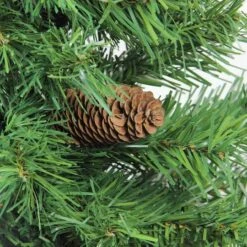 Northlight 2ft. Unlit Dakota Pine Full Artificial Christmas Tree -Northlight Decor Store D253684S 2