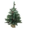 Northlight 3ft. Unlit Royal Oregon Pine Artificial Christmas Tree