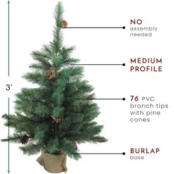 Northlight 3ft. Unlit Royal Oregon Pine Artificial Christmas Tree 11 Northlight 3ft. Unlit Royal Oregon Pine Artificial Christmas Tree -Northlight Decor Store D253693S 13