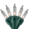 Northlight 450ct. Clear Mini Christmas Lights