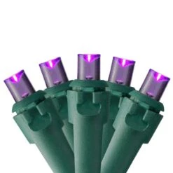 Northlight 50ct. LED Wide Angle Christmas String Lights With Green Wire Purple