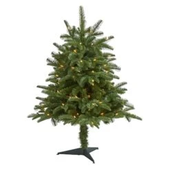 3ft. Pre-Lit South Carolina Spruce Artificial Christmas Tree, White Warm Lights