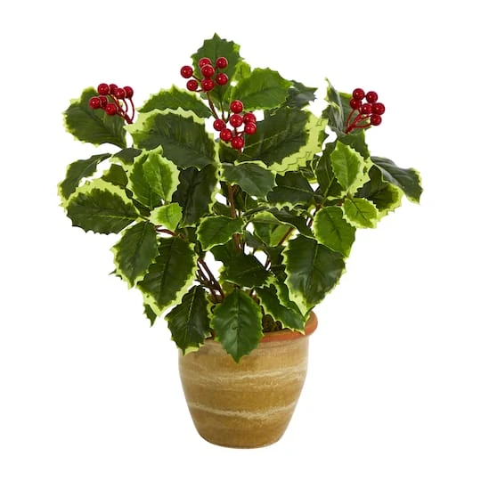14" Variegated Holly Plant In Ceramic Planter 2 14" Variegated Holly Plant In Ceramic Planter - Image 2