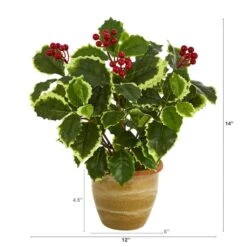 14" Variegated Holly Plant In Ceramic Planter 6 14" Variegated Holly Plant In Ceramic Planter -Northlight Decor Store D262456S 2