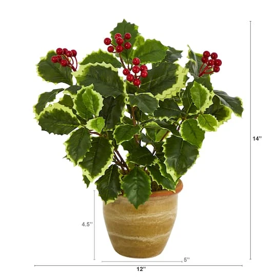 14" Variegated Holly Plant In Ceramic Planter 3 14" Variegated Holly Plant In Ceramic Planter - Image 3
