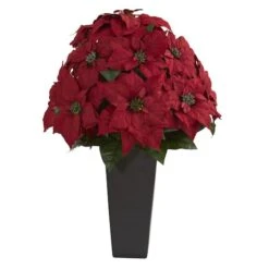 2.25ft. Red Poinsettia Plant In Black Planter
