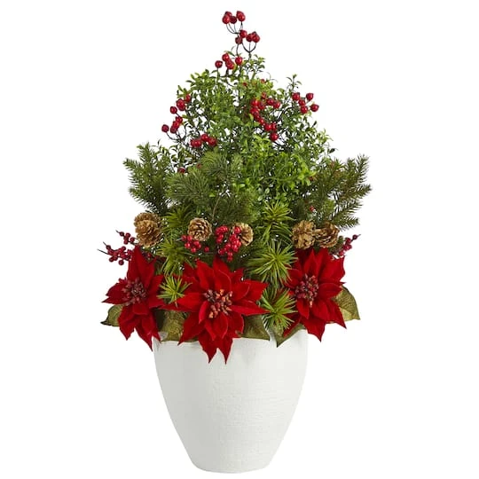 2.5ft. Poinsettia, Boxwood & Succulent Arrangement In White Vase 1 2.5ft. Poinsettia, Boxwood & Succulent Arrangement In White Vase