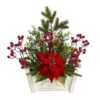 18'' Poinsettia, Succulent & Berry In Bench Planter