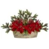 18'' Poinsettia, Succulent & Pine Plant In Decorative Vase