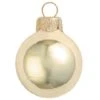 2ct. 6" Shiny Glass Ball Ornaments Champagne Shiny