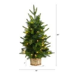 2ft. Pre-Lit Artificial Christmas Tree In Decorative Basket, Clear LED Lights 13 2ft. Pre-Lit Artificial Christmas Tree In Decorative Basket, Clear LED Lights -Northlight Decor Store D478873S 2