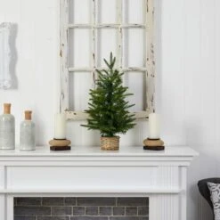 2ft. Pre-Lit Artificial Christmas Tree In Decorative Basket, Clear LED Lights 14 2ft. Pre-Lit Artificial Christmas Tree In Decorative Basket, Clear LED Lights -Northlight Decor Store D478873S 6