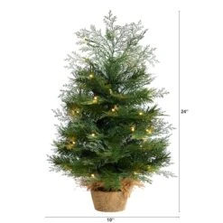 2ft. Pre-Lit Artificial Christmas Tree In Burlap Base, Warm White LED Lights -Northlight Decor Store D478875S 2