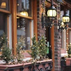 Northlight 50ct. Mini Christmas String Lights With Green Wire Clear -Northlight Decor Store D491460S 2