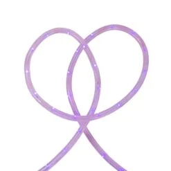 Northlight 24ft. Purple Commercial Grade LED Outdoor Christmas Rope Lights -Northlight Decor Store D491498S 12