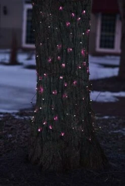 Northlight 2ft. X 8ft. Pink Tree Trunk Wrap Christmas Net Lights -Northlight Decor Store D491513S 13