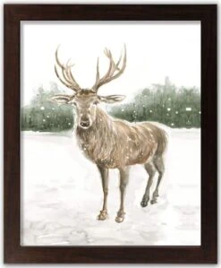 Winter Deer Walnut Framed Print Under Plexiglass
