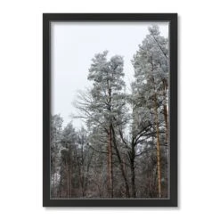 Dusty Trees Black Framed Print Under Plexiglass