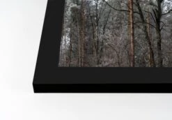 Dusty Trees Black Framed Print Under Plexiglass -Northlight Decor Store D518339S 2