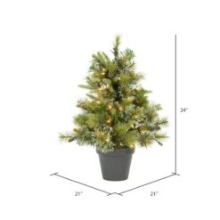 2ft. Pre-Lit Cashmere Pine Artificial Christmas Tree In Pot, Warm White Dura-Lit® LED Lights 7 2ft. Pre-Lit Cashmere Pine Artificial Christmas Tree In Pot, Warm White Dura-Lit® LED Lights -Northlight Decor Store D522307S 3