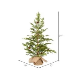24" Unlit Cedar Pine Artificial Christmas Tree In Burlap Base 7 24" Unlit Cedar Pine Artificial Christmas Tree In Burlap Base -Northlight Decor Store D522600S 3