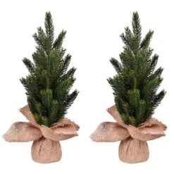 15" Unlit Balsam Fir Sapling Artificial Christmas Tree, 2ct. -Northlight Decor Store D522614S 2