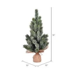 19" Unlit Frosted Spruce Sapling Artificial Christmas Tree In Burlap Base 5 19" Unlit Frosted Spruce Sapling Artificial Christmas Tree In Burlap Base -Northlight Decor Store D522646S 2