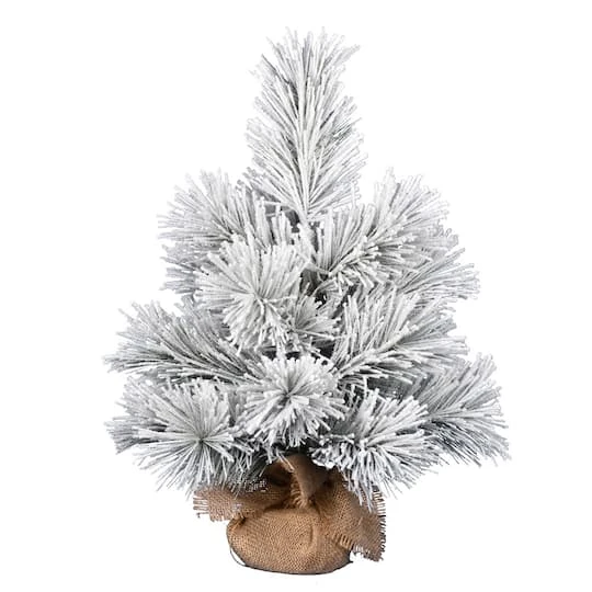24" Unlit Frosted Beckett Pine Artificial Christmas Tree 2 24" Unlit Frosted Beckett Pine Artificial Christmas Tree - Image 2