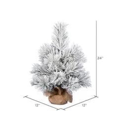 24" Unlit Frosted Beckett Pine Artificial Christmas Tree 7 24" Unlit Frosted Beckett Pine Artificial Christmas Tree -Northlight Decor Store D522656S 3