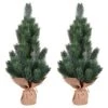 15" Unlit Blue Spruce Sapling Artificial Christmas Tree Set