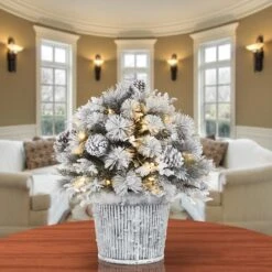 22" Pre-Lit Flocked Chiwawa Basin Pine Tree With Pinecones In Gray Pot, Clear LED Lights 9 22" Pre-Lit Flocked Chiwawa Basin Pine Tree With Pinecones In Gray Pot, Clear LED Lights -Northlight Decor Store D531431S 2
