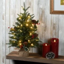 2ft. Pre-Lit Happy Hill Pine Artificial Christmas Tree, Warm White LED Lights 8 2ft. Pre-Lit Happy Hill Pine Artificial Christmas Tree, Warm White LED Lights -Northlight Decor Store D645001S 2