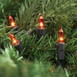 Northlight 50ct. Mini Christmas String Lights With Black Wire Orange -Northlight Decor Store D676204S 12