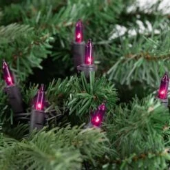 Northlight 50ct. Mini Christmas String Lights With Black Wire Purple -Northlight Decor Store D676208S 3
