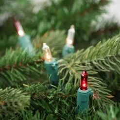 Northlight 100ct. Mini Christmas String Lights With Green Wire Red And Clear -Northlight Decor Store D676210S 12