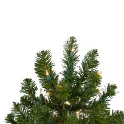 Northlight 2ft. Pre-Lit Canadian Pine Artificial Christmas Tree, Clear Lights -Northlight Decor Store D676654S 14