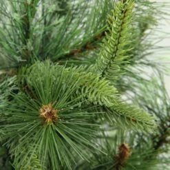 Northlight 3ft. Unlit Full Ashcroft Cashmere Pine Artificial Christmas Tree -Northlight Decor Store D676683S 2