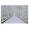 Northlight Winter Wooden Bridge Fiber Optic Lighted Canvas Wall Art